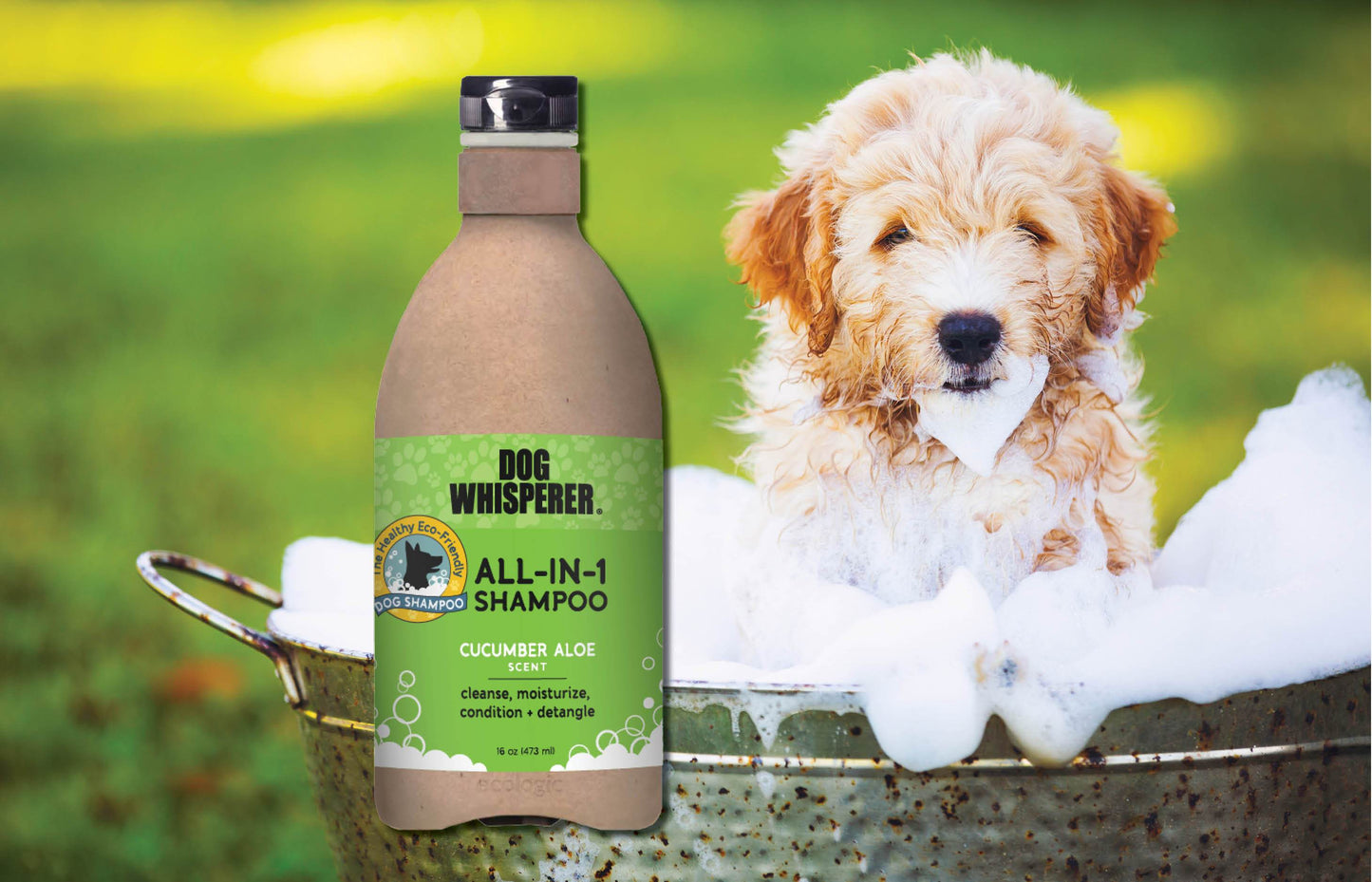 Sparkling Clean All-in-1 Shampoo - Cucumber Aloe 16 oz
