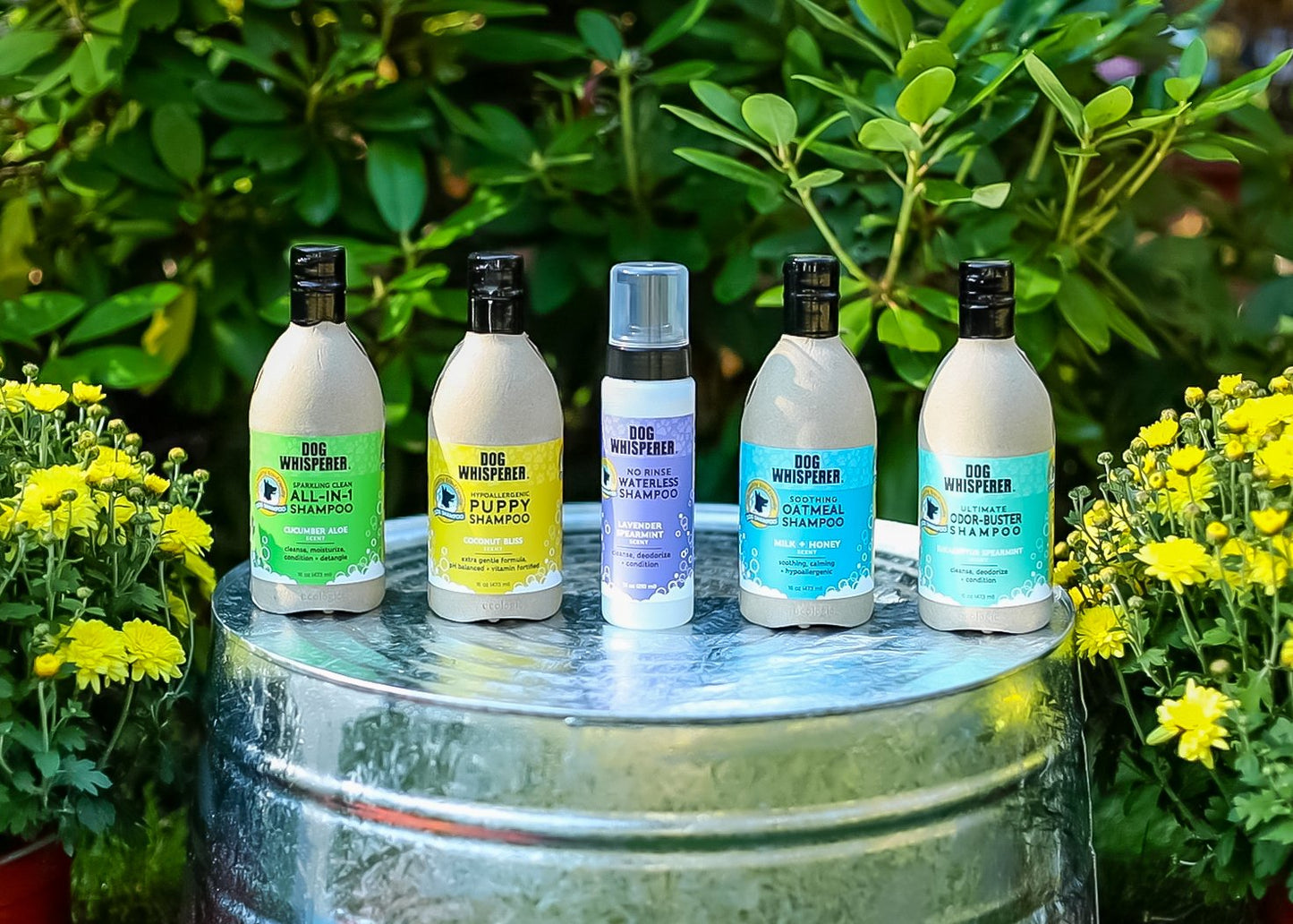 Sparkling Clean All-in-1 Shampoo - Cucumber Aloe 16 oz